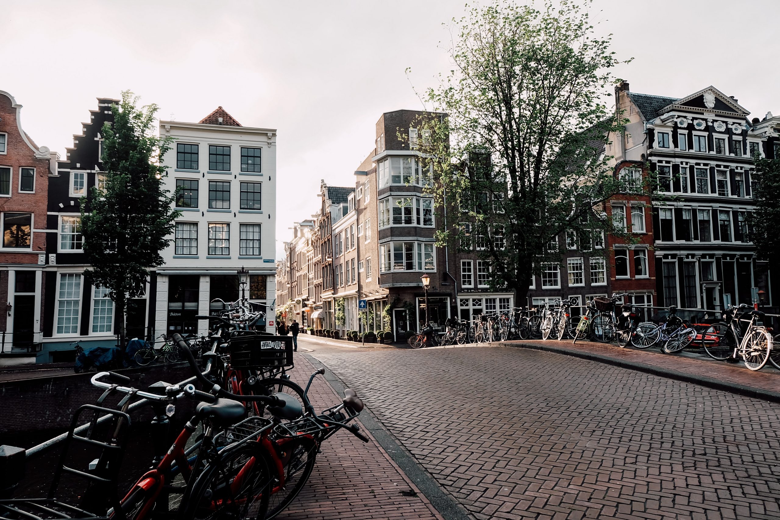 bas-office-ams bas-office-ams